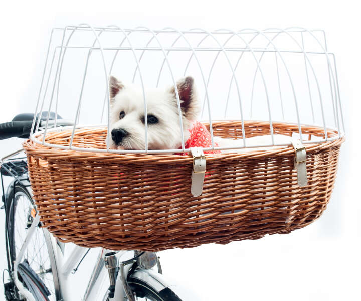 AUMÜLLER Fahrradkorb Vorne